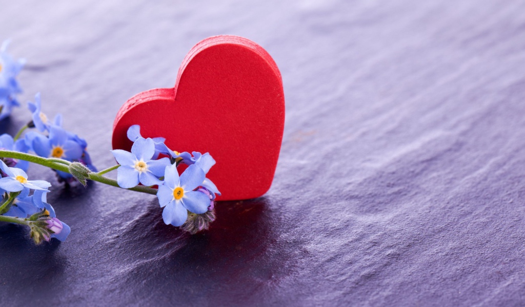 Красное сердце и нежные голубые цветы  