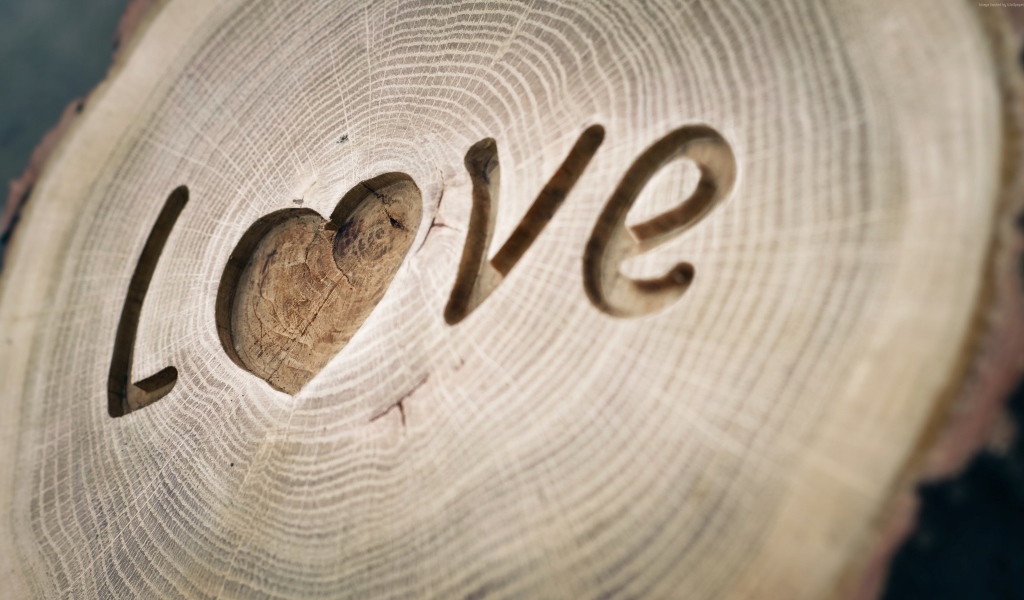 Надпись LOVE вырезана на дереве