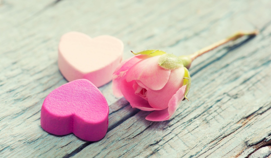 Два розовых сердца и розовая роза лежат на деревянной поверхности