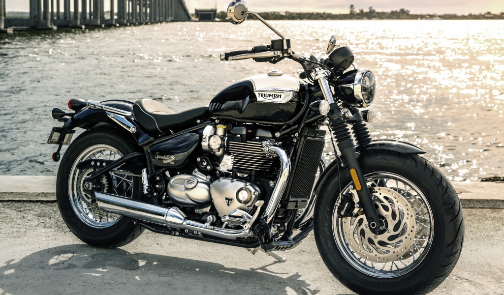 Стильный черный мотоцикл Triumph Bonneville Speedmaster, 2018 у воды