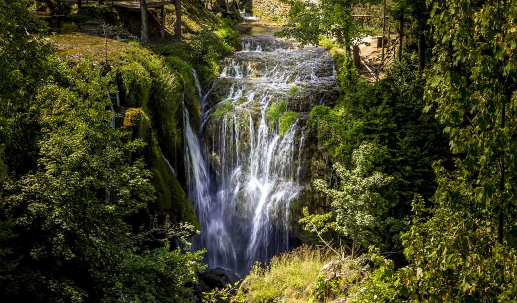 Красивый водопад стекает с утеса в лесу у покрытых зеленью деревьев