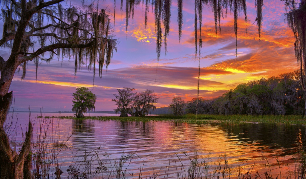 Красивое небо на закате над лесным озером