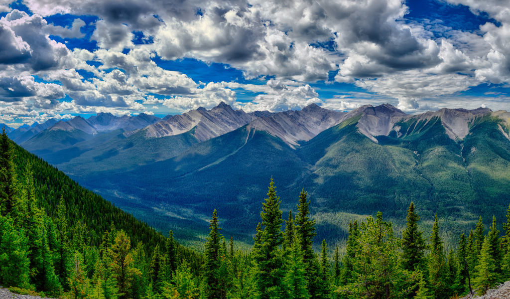 Красивое небо с белыми облаками над покрытыми лесом горами