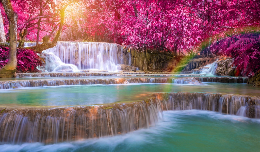 Красивые деревья с красными листьями у водопада 