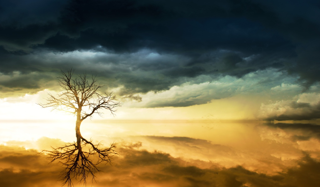 Черные облака в небе и дерево отражаются в воде