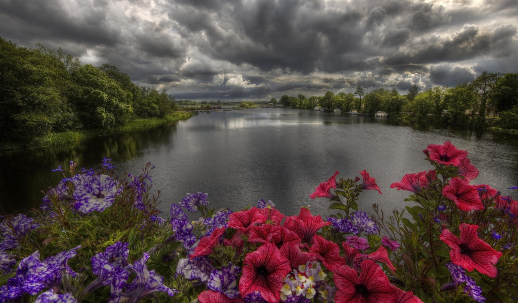 Пасмурные облака над озером с цветами на берегу 