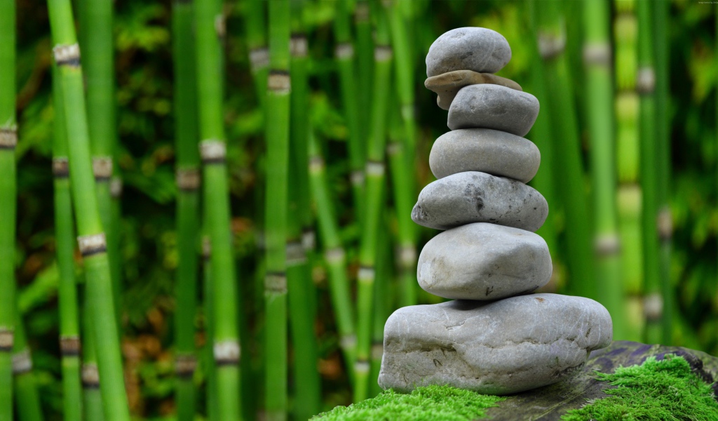 Серые камни на фоне зеленого бамбука