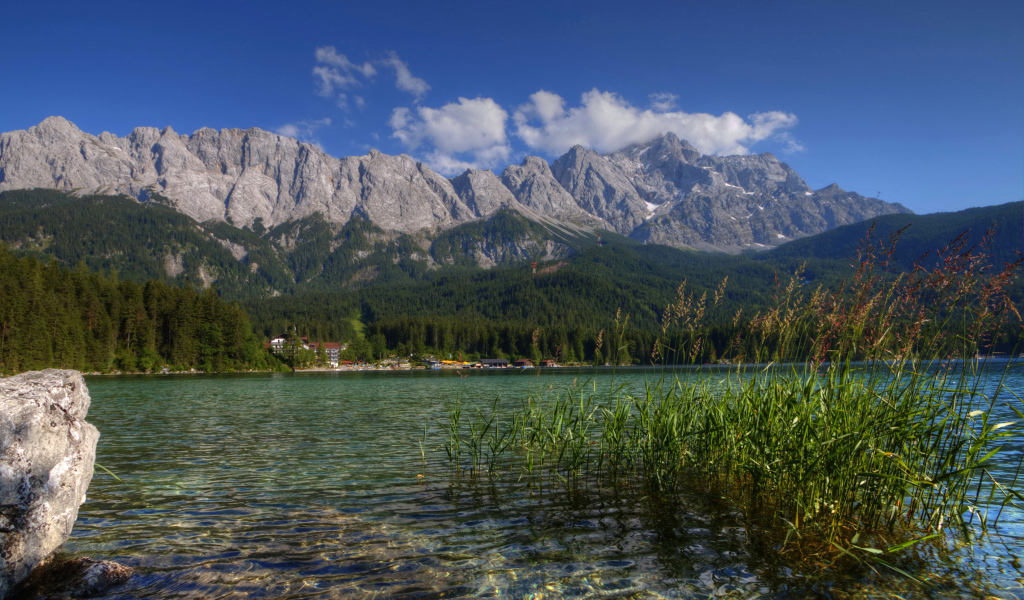 Зеленый лес у горного озера, Германия