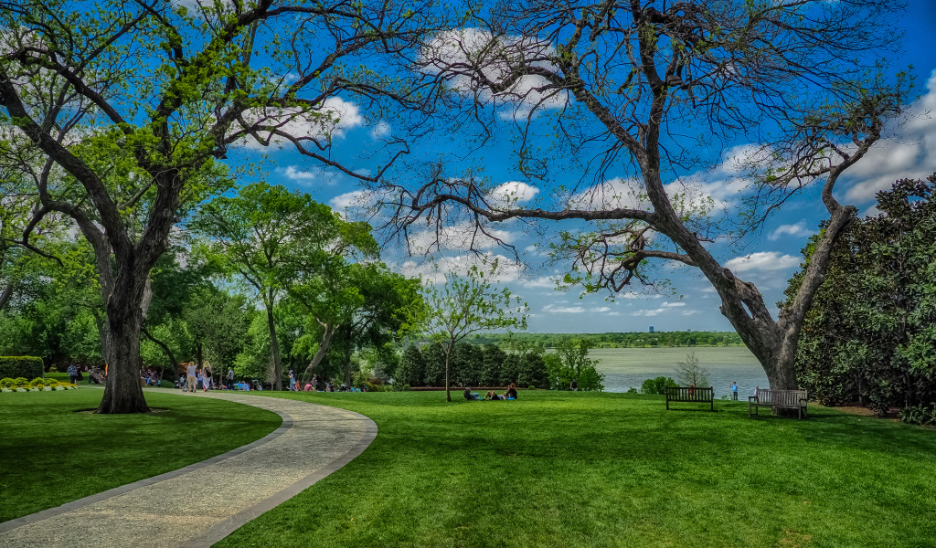 Зеленые газоны в парке на фоне красивого голубого неба