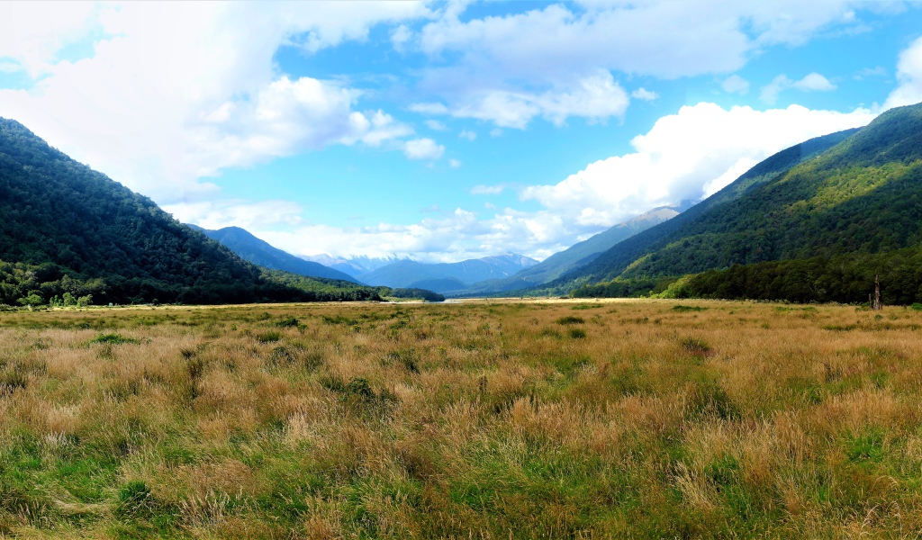 Зеленые природные просторы Новой Зеландии 