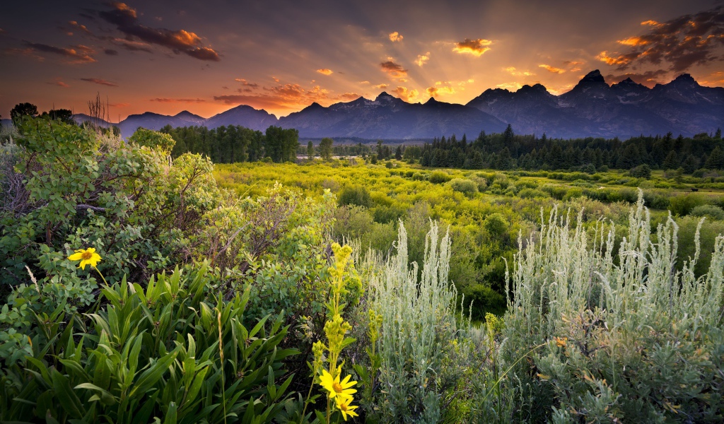 Зеленая природа и горы в лучах солнца 