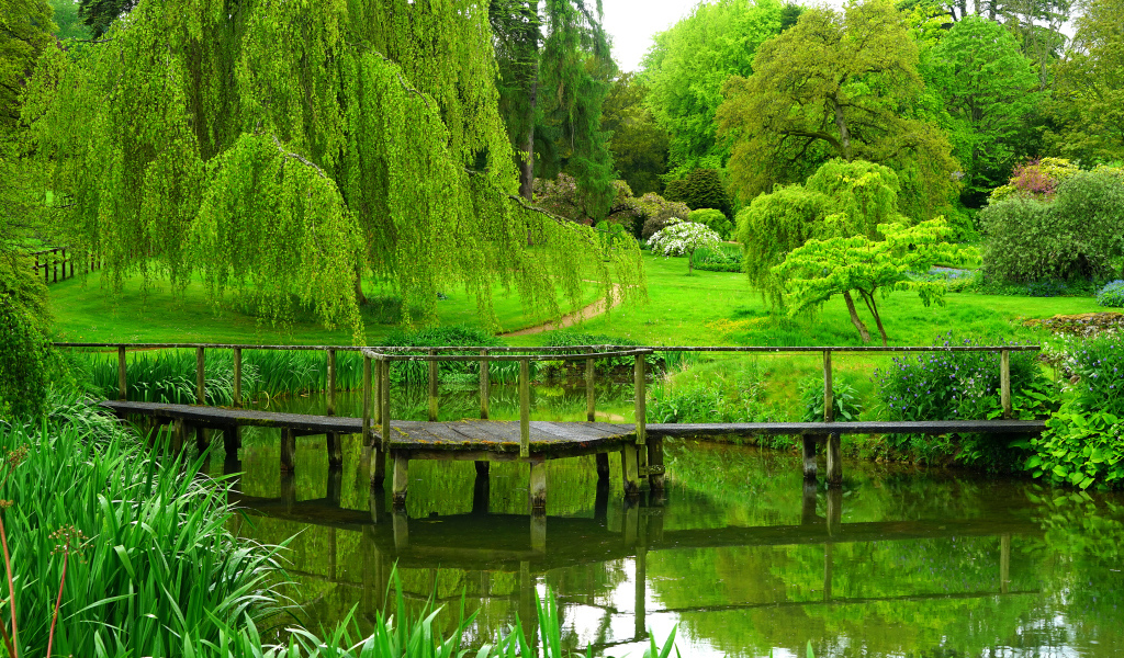 Зеленые деревья над старым мостом у пруда в парке