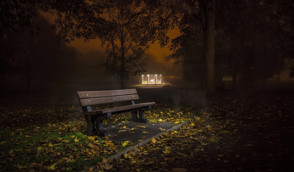 Одинокая скамейка в осеннем парке ночью