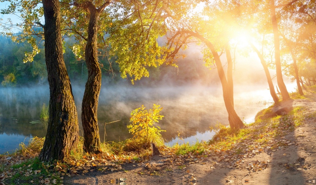 Утренний туман над рекой в лучах солнца осенью