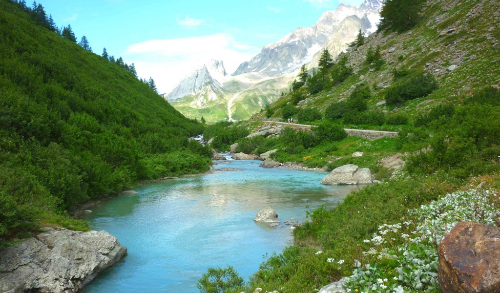 Горная река меж зеленых берегов 