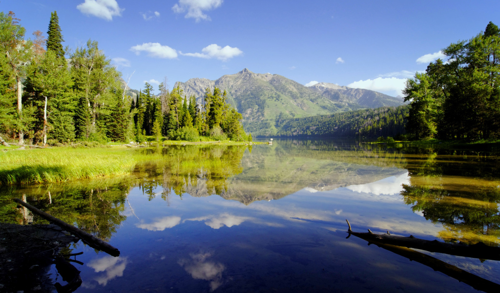 Живописная природа у горного озера 