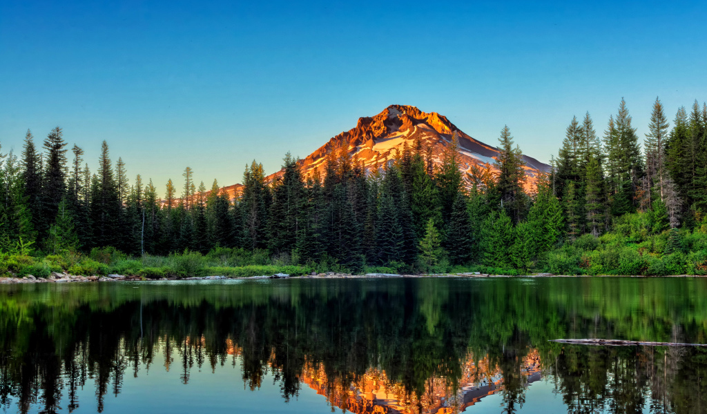 Сосновый лес и гора отражаются в воде, Йосемитский национальный парк. Калифорния 