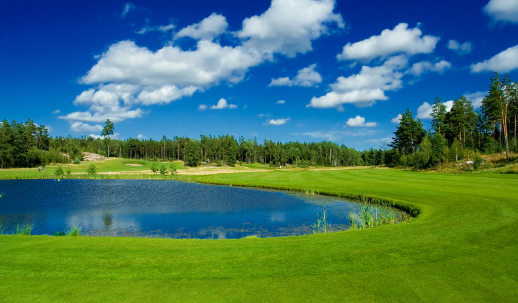 Пруд в парке у зеленого газона на фоне голубого неба