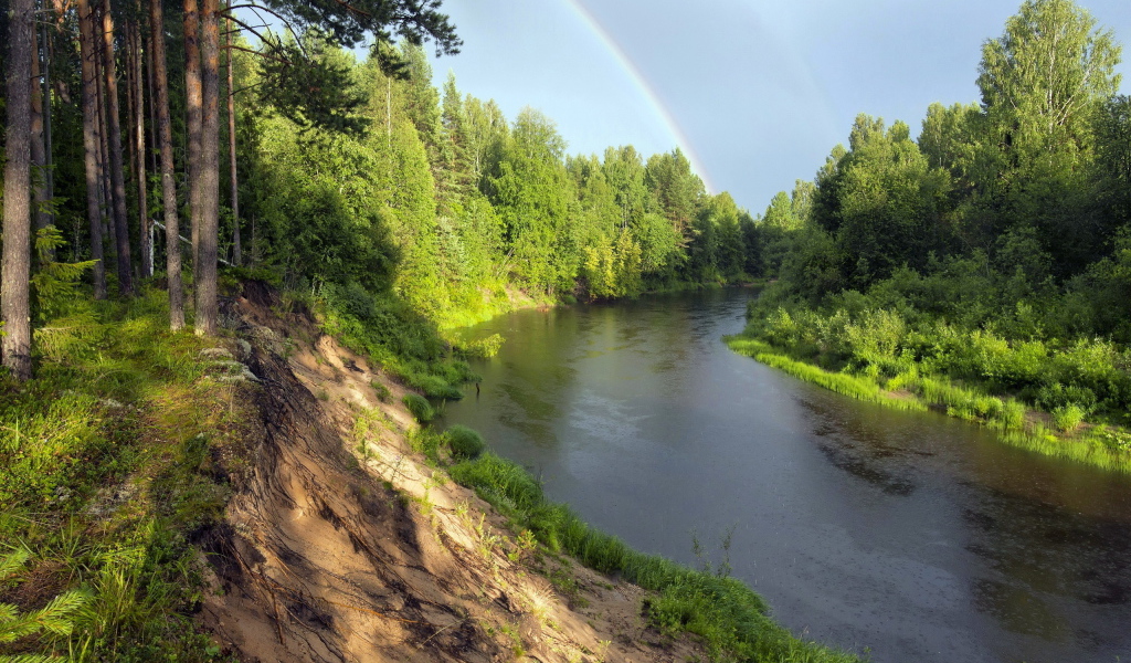Радуга над рекой в зеленом лесу 