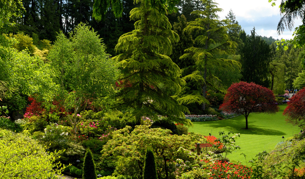 Живописный зеленый парк Канады