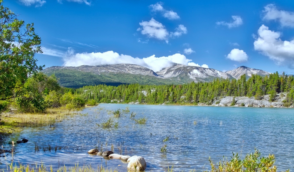 Летний пейзаж природы Аляски 