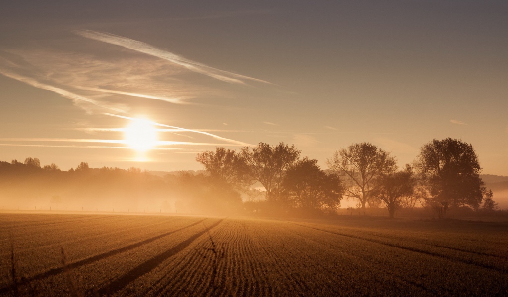 Восход солнца и туман над полем 