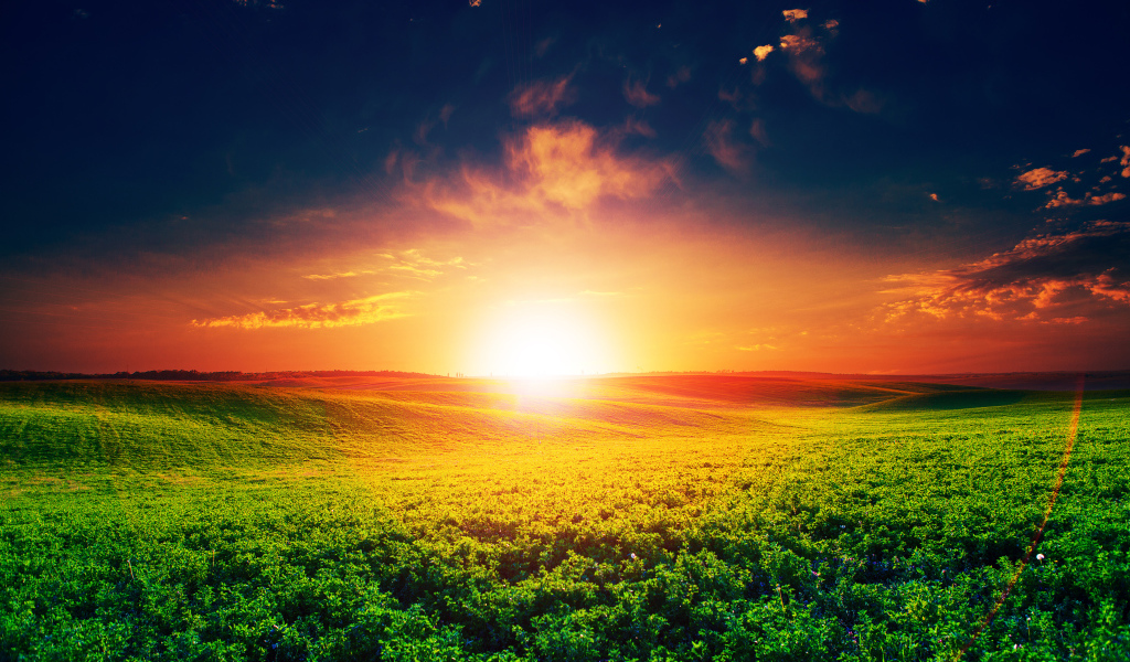 Восход яркого летнего солнца над полем