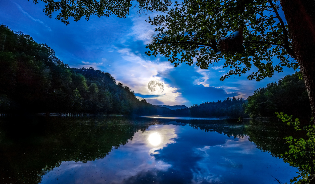 Большая луна отражается в водоеме 