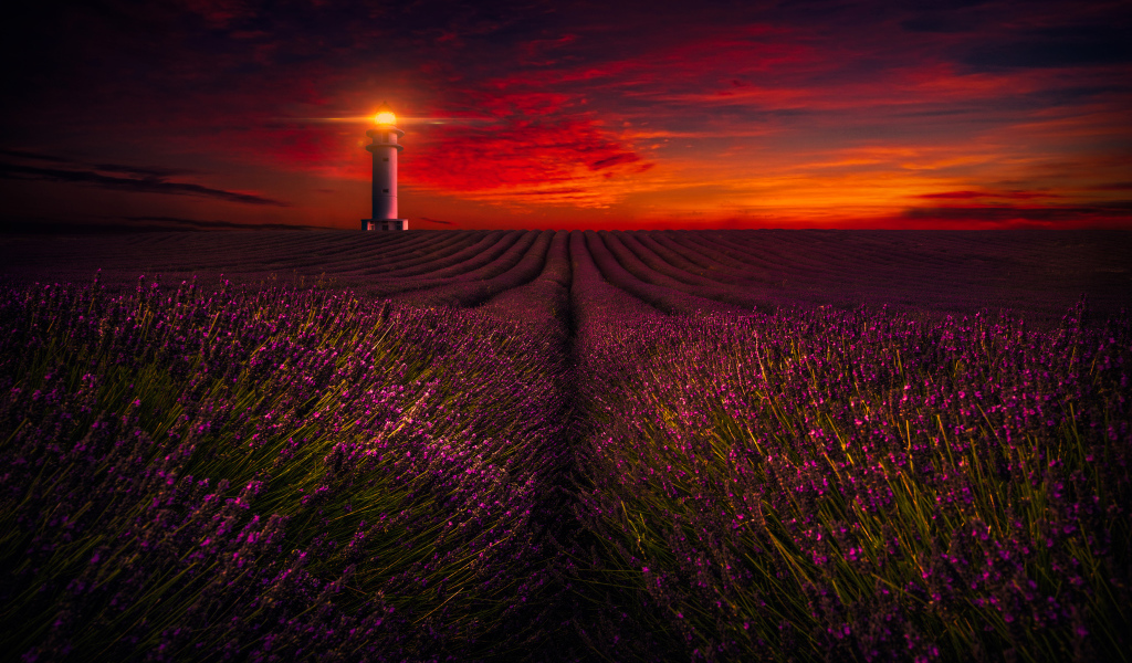 Маяк освещает лавандовое поле под красивым небом