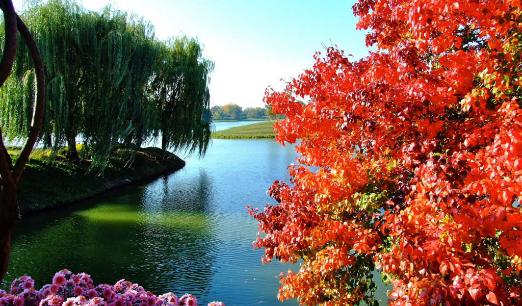 Деревья и цветы у озера в парке 