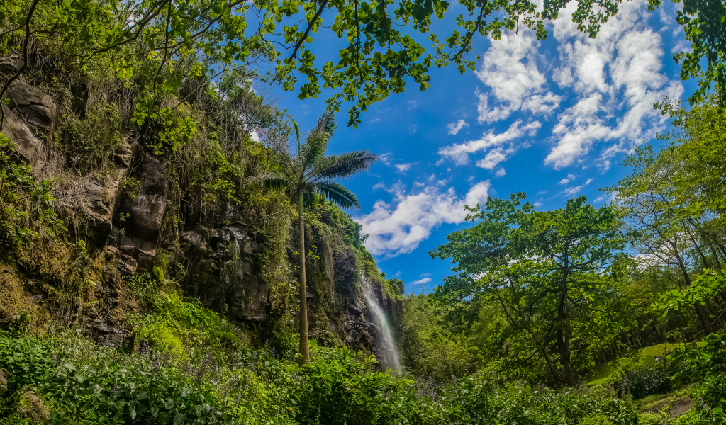 Водопад в тропическом лесу на фоне голубого неба 