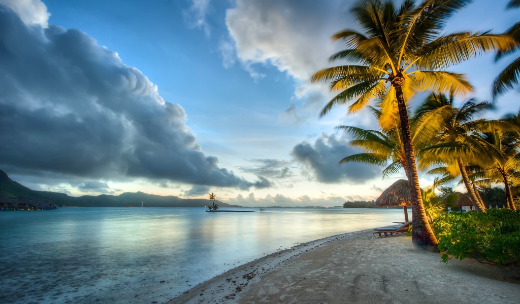 Пальмы под красивым небом у океана на побережье Бора-Бора