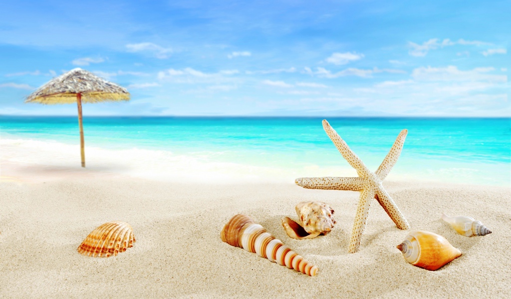 Ракушки и зонт на тропическом пляже