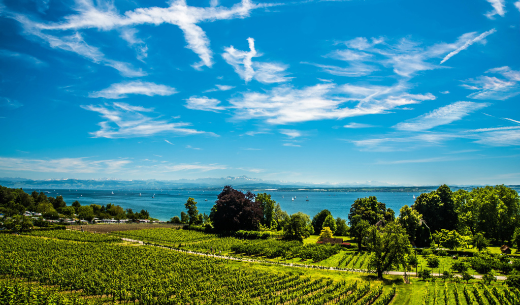 Красивые белые облака в небе над полем и озером