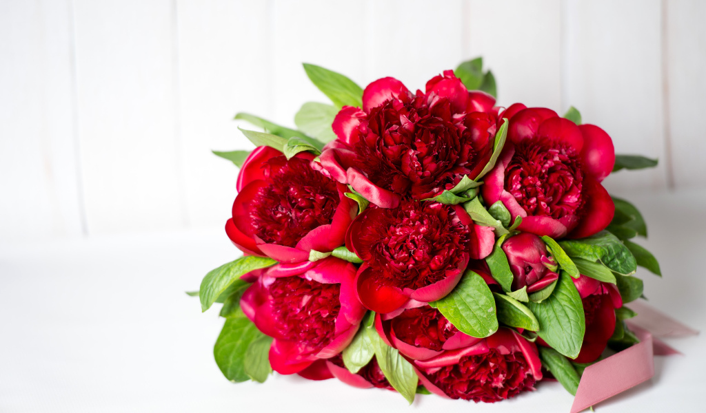 Красивый большой букет бордовых пионов