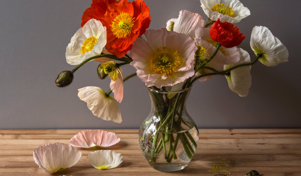 Букет крупных красивых маков в прозрачной вазе