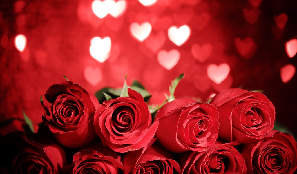 Букет крупных красных роз на фоне сердечек