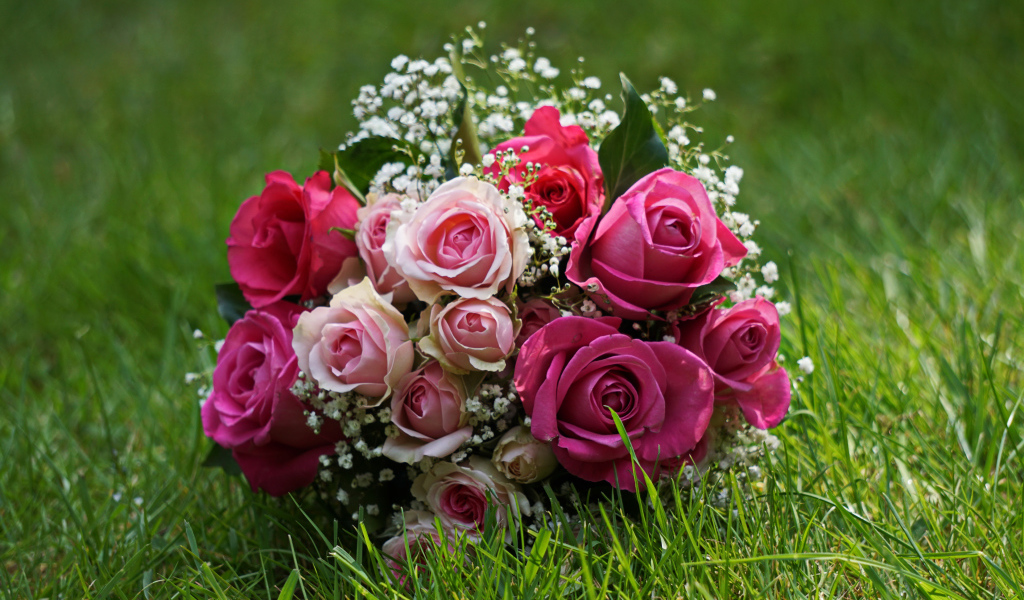 Букет роз лежит на зеленой траве