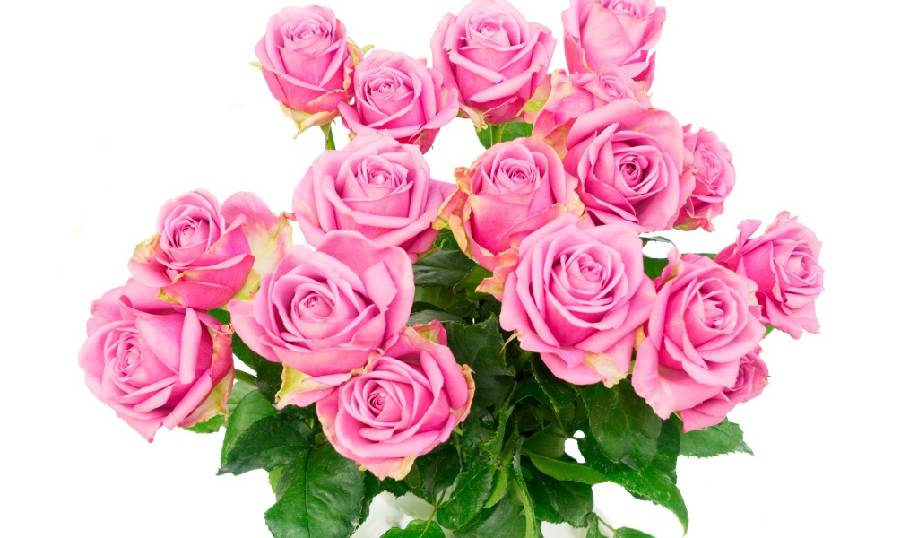Красивый большой букет розовых роз на белом фоне