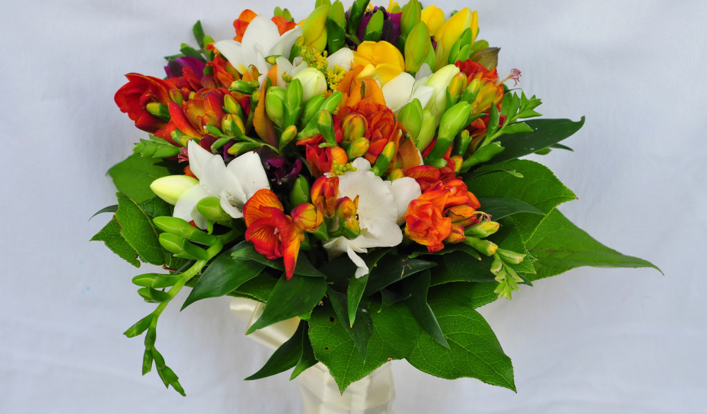 Красивый букет фрезий на сером фоне