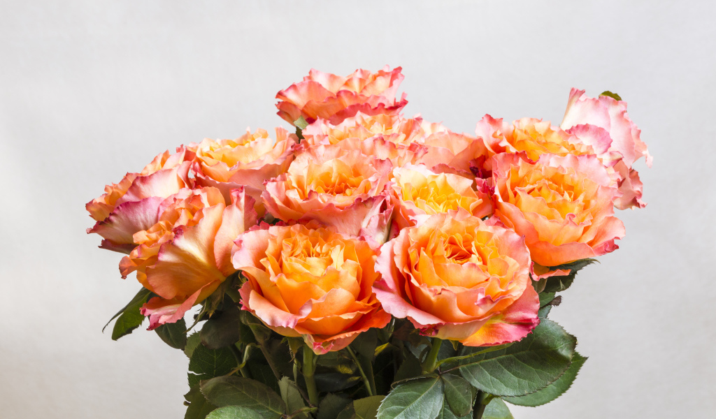 Красивый букет оранжевых роз на сером фоне