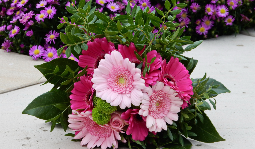 Красивый букет розовых гербер 