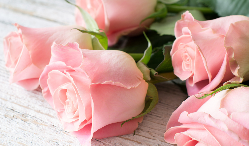 Красивый букет розовых роз крупным планом