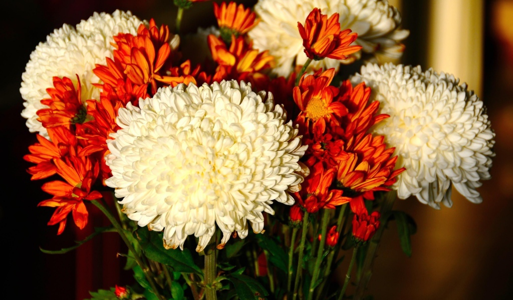 Красивый букет белых и оранжевый хризантем