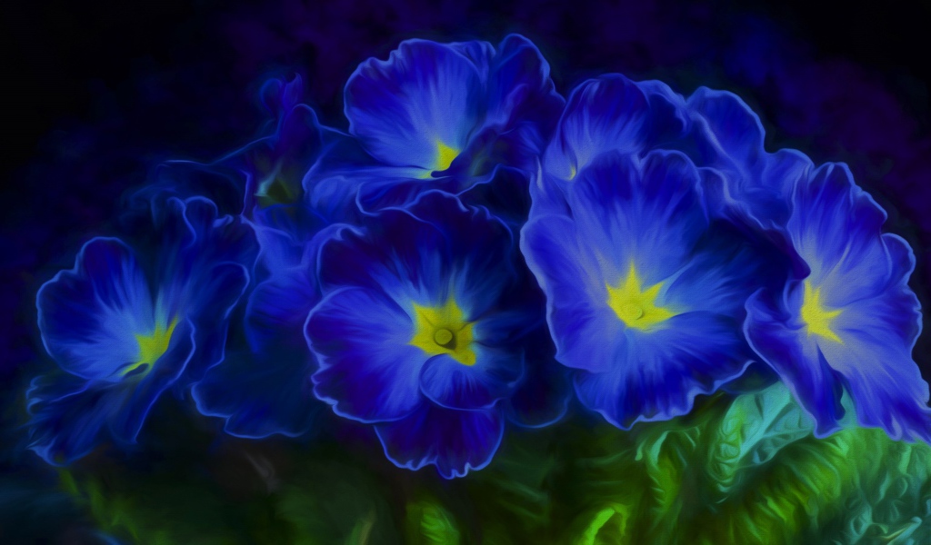 Синие цветы примула 