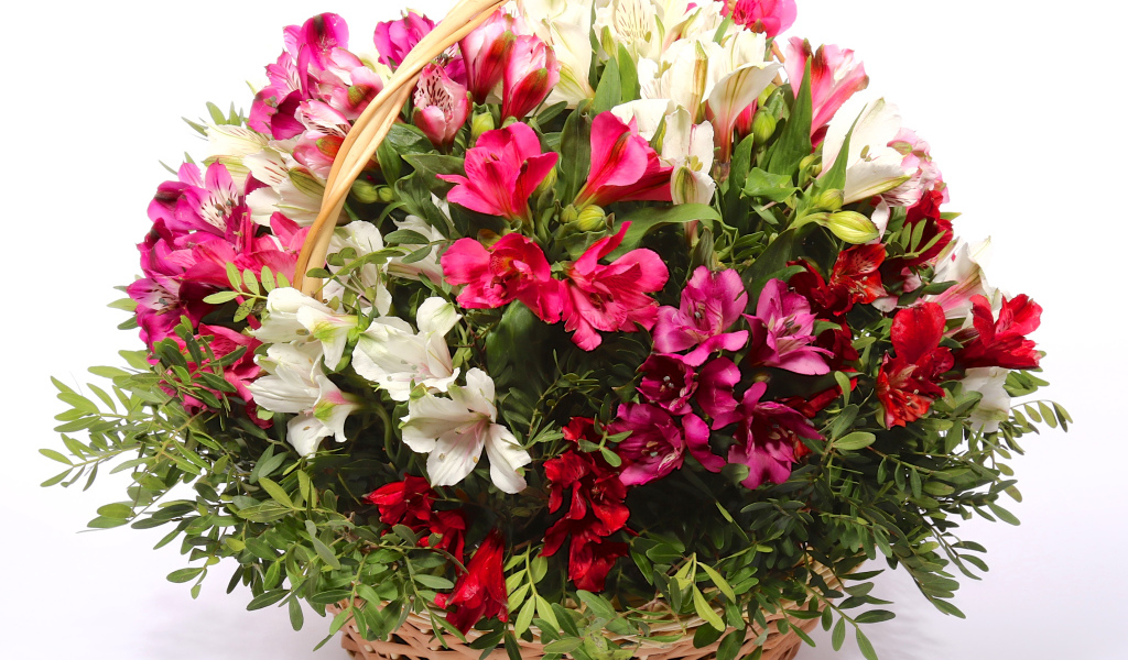 Букет цветов альстрёмерия в корзине на белом фоне