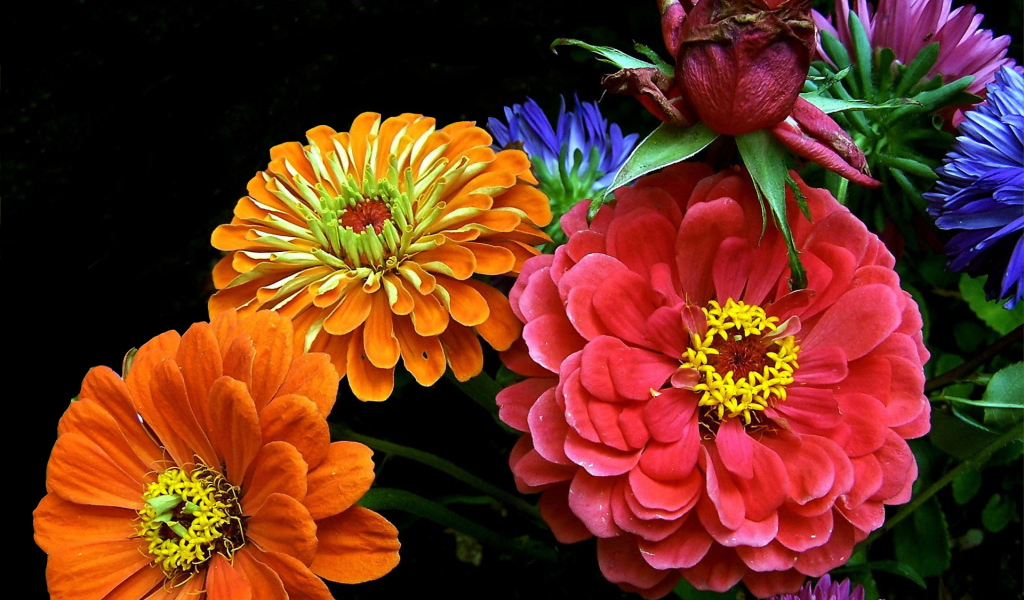 Букет ярких летних цветов 