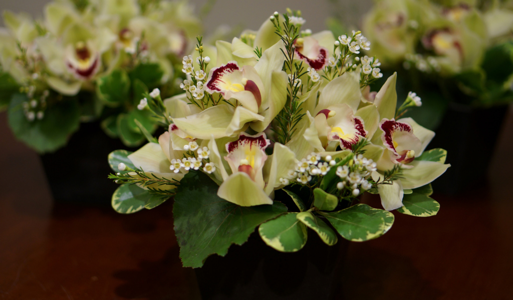 Букет нежной орхидеи и морозника