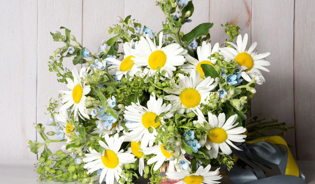 Букет полевых ромашек перевязанный лентой