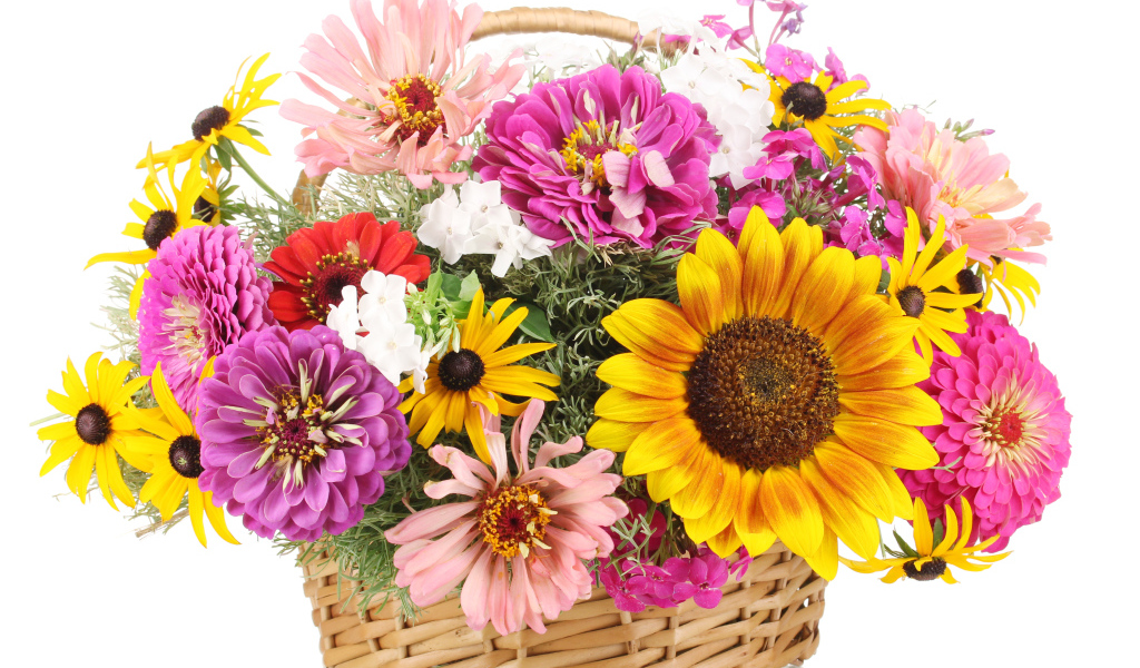 Букет цветов цинии, рудбекии и подсолнуха в корзине на белом фоне